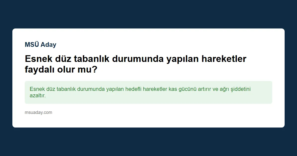 Eylül 2005 doğumlu bir kişi bir sonraki MSÜ'ye başvurabilir mi; yaş sınırı varsa nereye başvurmalı veya ne yapmalı?