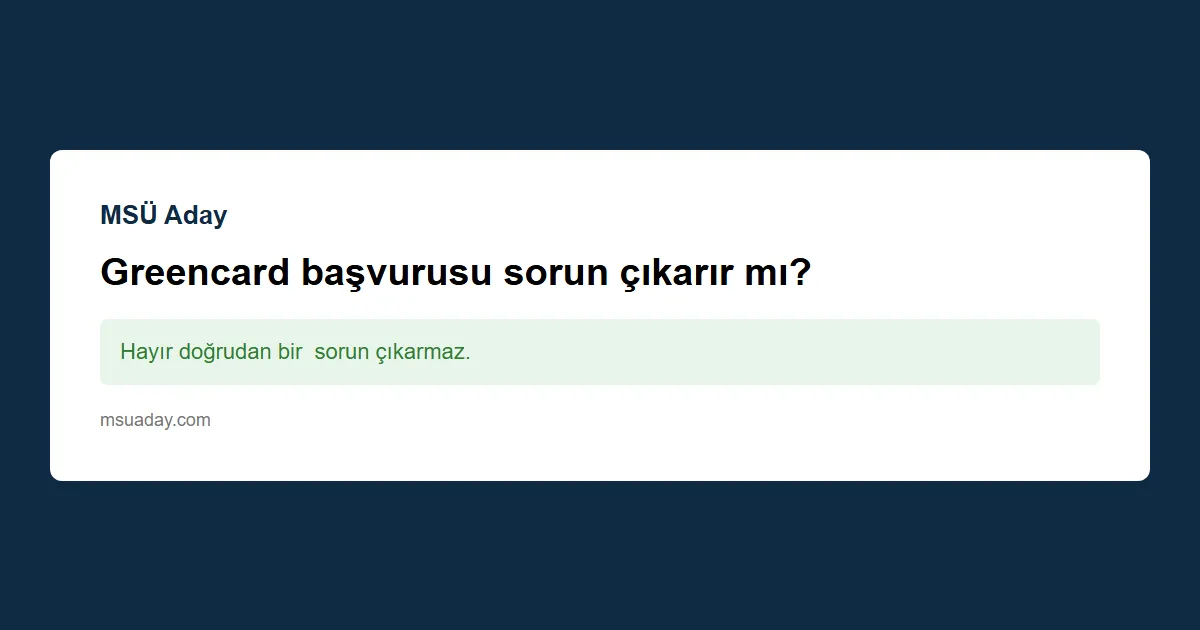 MSÜ'de Güvenlik soruşturması neleri kapsar ?